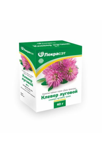 Red clover tea drink