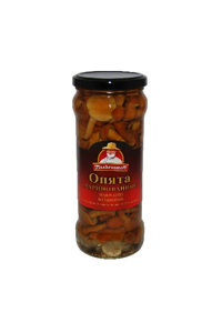 Canned mushrooms honey agaric