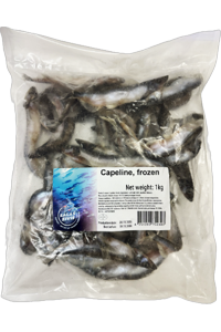 Capelin